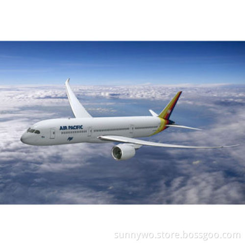 Nice Express Service from Shenzhen to Onne